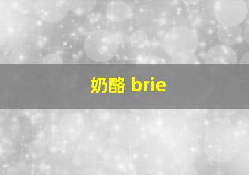 奶酪 brie